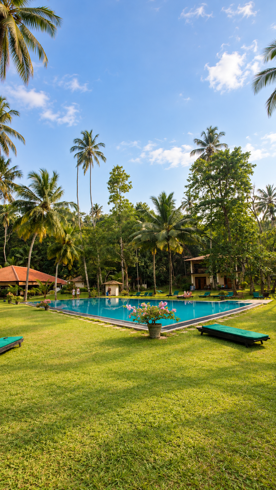 A garden swimming pool surrounded by tropical palms